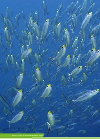 Ministère de l'Écologie, du Développement durable et de l'Énergie
 