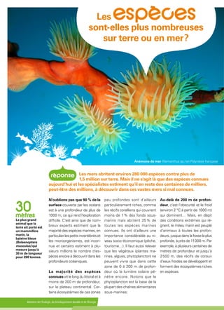 Ministère de l'Écologie, du Développement durable et de l'Énergie
N’oublions pas que 90 % de la
surface couverte par les océans
est à une profondeur de plus de
1000 m, ce qui rend l’exploration
difficile. C’est ainsi que de nom-
breux experts estiment que la
majorité des espèces marines, en
particulier les petits invertébrés et
les microorganismes, est incon-
nue et certains estiment à plu-
sieurs millions le nombre d’es-
pèces encore à découvrir dans les
profondeurs océaniques.
La majorité des espèces
connues vit le long du littoral et à
moins de 200 m de profondeur,
sur le plateau continental. Cer-
tains écosystèmes de ces zones
peu profondes sont d’ailleurs
particulièrement riches, comme
les récifs coralliens qui couvrent
moins de 1 % des fonds sous-
marins mais abritent 25 % de
toutes les espèces marines
connues. Ils ont d’ailleurs une
importance considérable au ni-
veau socio-économique (pêche,
tourisme…). Il faut aussi relever
que les végétaux (plantes ma-
rines, algues, phytoplancton) ne
peuvent vivre que dans cette
zone de 0 à 200 m de profon-
deur où la lumière solaire pé-
nètre encore. Notons que le
phytoplancton est la base de la
plupart des chaînes alimentaires
sous-marines.
Au-delà de 200 m de profon-
deur, c’est l’obscurité et le froid
(environ 2 °C à partir de 1000 m)
qui dominent… Mais, en dépit
des conditions extrêmes qui rè-
gnent, le milieu marin est peuplé
d’animaux à toutes les profon-
deurs, jusque dans la fosse la plus
profonde, à près de 11 000 m. Par
exemple, à plusieurs centaines de
mètres de profondeur et jusqu’à
2 500 m, des récifs de coraux
d’eaux froides se développent et
forment des écosystèmes riches
en espèces.
Anémone de mer (Nemanthus sp.) en Polynésie française
Le plus grand
animal que la
terre ait porté est
un mammifère
marin, la
baleine bleue
(Balaenoptera
musculus) qui
mesure jusqu'à
30 m de longueur
pour 200 tonnes.
Les mers abritent environ 280 000 espèces contre plus de
1,5 million sur terre. Mais il ne s’agit là que des espèces connues
aujourd’hui et les spécialistes estiment qu’il en reste des centaines de milliers,
peut-être des millions, à découvrir dans ces vastes mers si mal connues.
Les   
sont-elles plus nombreuses
sur terre ou en mer ?
 