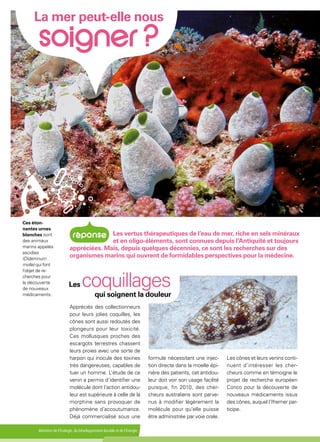 Ministère de l'Écologie, du Développement durable et de l'Énergie
La mer peut-elle nous
 
Appréciés des collectionneurs
pour leurs jolies coquilles, les
cônes sont aussi redoutés des
plongeurs pour leur toxicité.
Ces mollusques proches des
escargots terrestres chassent
leurs proies avec une sorte de
harpon qui inocule des toxines
très dangereuses, capables de
tuer un homme. L’étude de ce
venin a permis d’identifier une
molécule dont l’action antidou-
leur est supérieure à celle de la
morphine sans provoquer de
phénomène d’accoutumance.
Déjà commercialisé sous une
formule nécessitant une injec-
tion directe dans la moelle épi-
nière des patients, cet antidou-
leur doit voir son usage facilité
puisque, fin 2010, des cher-
cheurs australiens sont parve-
nus à modifier légèrement la
molécule pour qu’elle puisse
être administrée par voie orale.
Les cônes et leurs venins conti-
nuent d’intéresser les cher-
cheurs comme en témoigne le
projet de recherche européen
Conco pour la découverte de
nouveaux médicaments issus
des cônes, auquel l’Ifremer par-
ticipe.
Ces éton-
nantes urnes
blanches sont
des animaux
marins appelés
ascidies
(Didemnum
molle) qui font
l'objet de re-
cherches pour
la découverte
de nouveaux
médicaments.
Les coquillages
qui soignent la douleur
Les vertus thérapeutiques de l’eau de mer, riche en sels minéraux
et en oligo-éléments, sont connues depuis l’Antiquité et toujours
appréciées. Mais, depuis quelques décennies, ce sont les recherches sur des
organismes marins qui ouvrent de formidables perspectives pour la médecine.
 