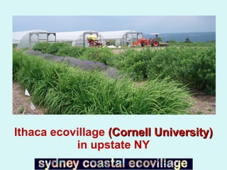 Ithaca ecovillage  (Cornell University)  in upstate NY 