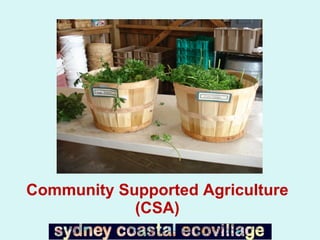 Community Supported Agriculture (CSA) 