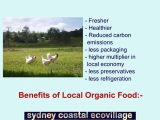 Benefits of Local Organic Food:- - Fresher  - Healthier - Reduced carbon emissions - less packaging - higher multiplier in local economy - less preservatives - less refrigeration  