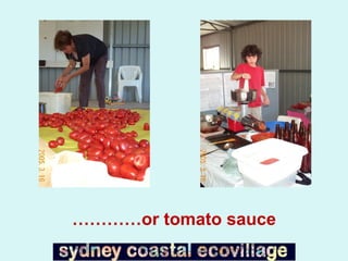 ………… or tomato sauce 