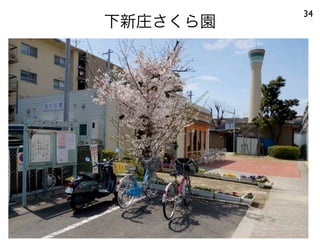下新庄さくら園
34
 