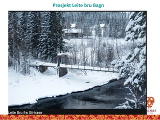 Prosjekt Leite bru Bagn 