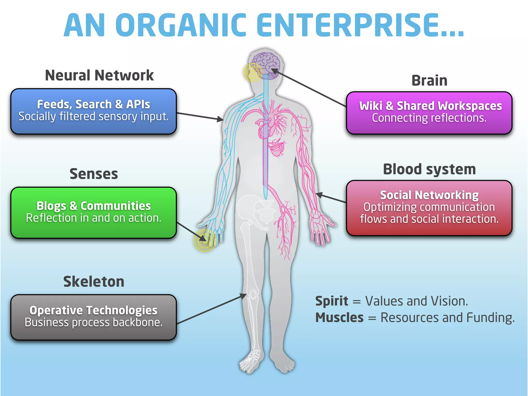 AN ORGANIC ENTERPRISE...
     Neural Network                                 Brain
   Feeds, Search & APIs                   Wiki & Shared Workspaces
Socially filtered sensory input.            Connecting reflections.




          Senses                              Blood system
                                              Social Networking
   Blogs & Communities                     Optimizing communication
 Reflection in and on action.             flows and social interaction.




         Skeleton
                                   Spirit = Values and Vision.
  Operative Technologies
 Business process backbone.        Muscles = Resources and Funding.
 