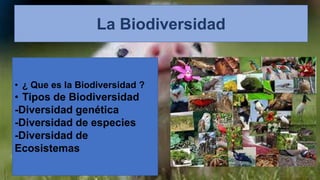 La Biodiversidad
• ¿ Que es la Biodiversidad ?
• Tipos de Biodiversidad
-Diversidad genética
-Diversidad de especies
-Diversidad de
Ecosistemas
 