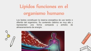 Lípidos funciones en el
organismo humano
Los lípidos constituyen la reserva energética de uso tardío o
diferido del organismo. Su contenido calórico es muy alto y
representan una forma compacta y anhidra de
almacenamiento de energía.
 