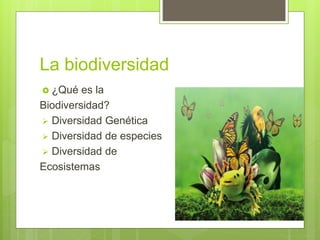 La biodiversidad
 ¿Qué es la
Biodiversidad?
 Diversidad Genética
 Diversidad de especies
 Diversidad de
Ecosistemas
 