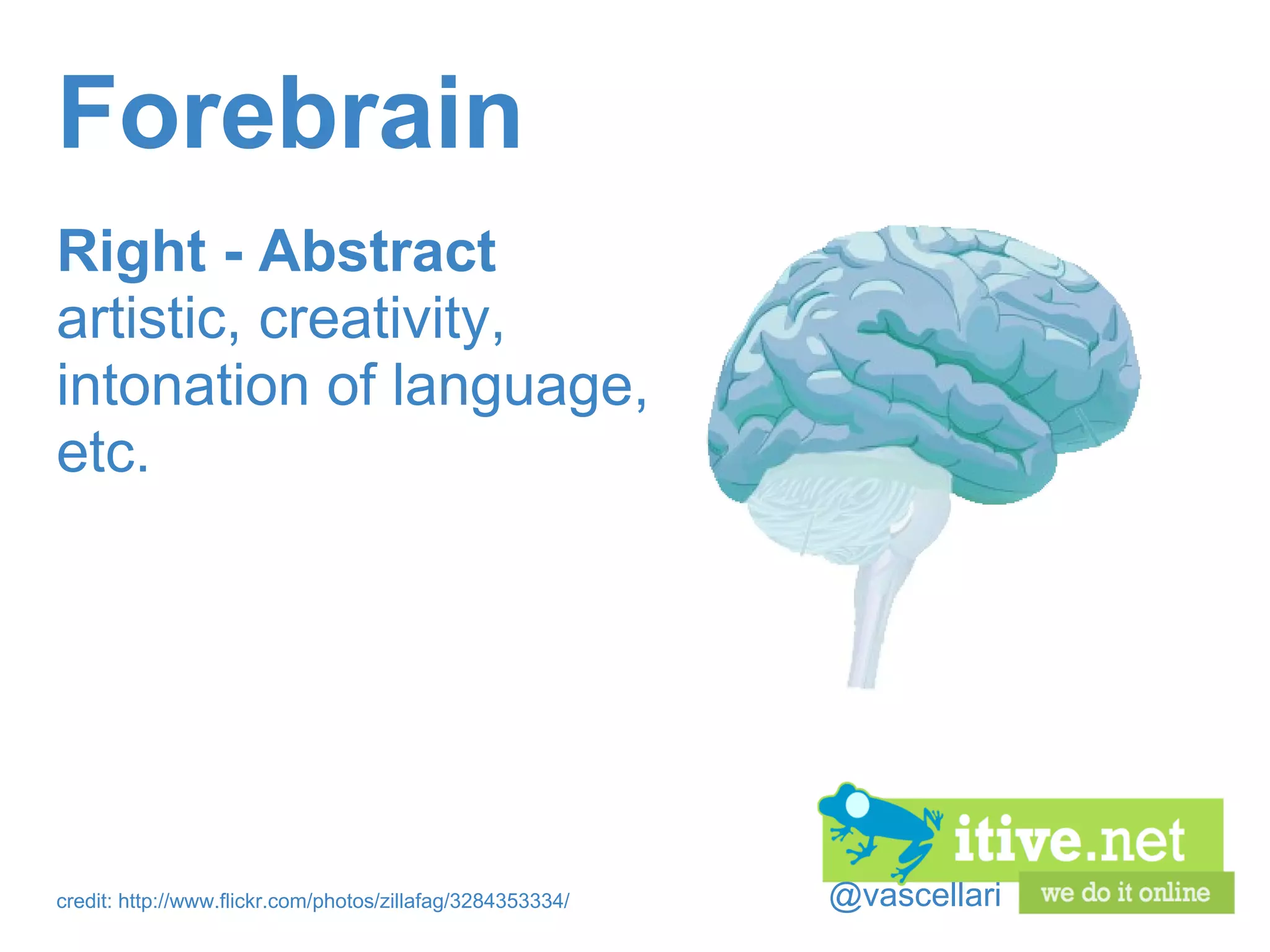 @vascellari Forebrain Right - Abstract artistic, creativity, intonation of language, etc. credit: http://www.flickr.com/photos/zillafag/3284353334/ 
