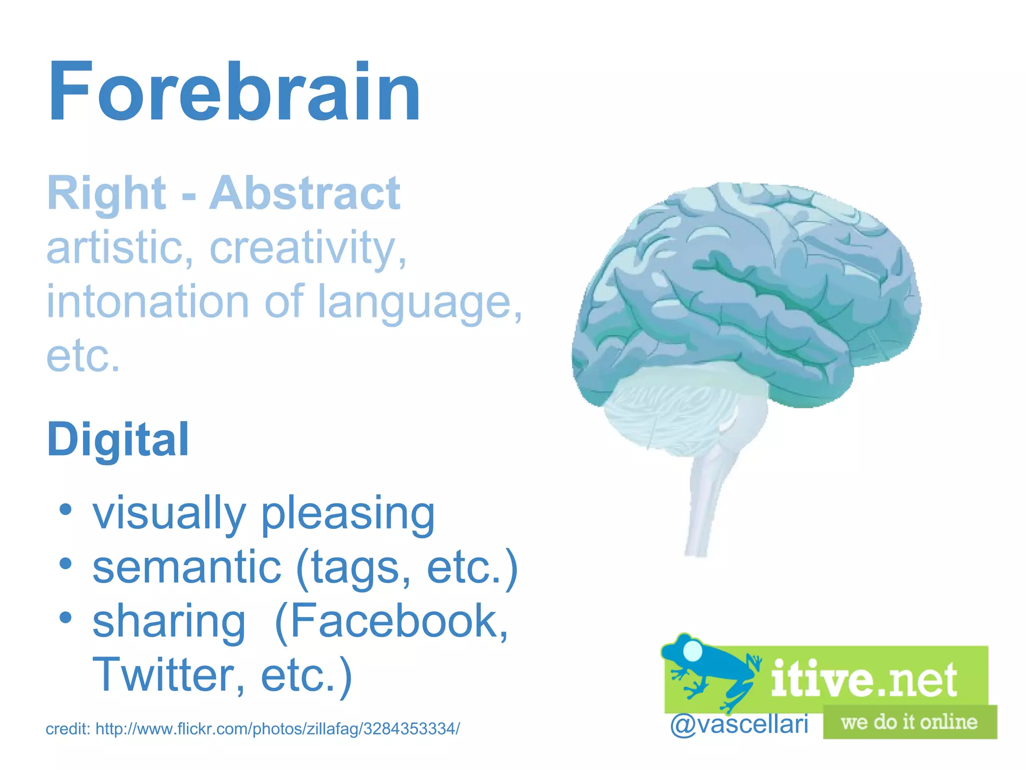 @vascellari Forebrain Right - Abstract artistic, creativity, intonation of language,  etc. credit: http://www.flickr.com/photos/zillafag/3284353334/ Digital  visually pleasing semantic (tags, etc.) sharing  (Facebook, Twitter, etc.) 