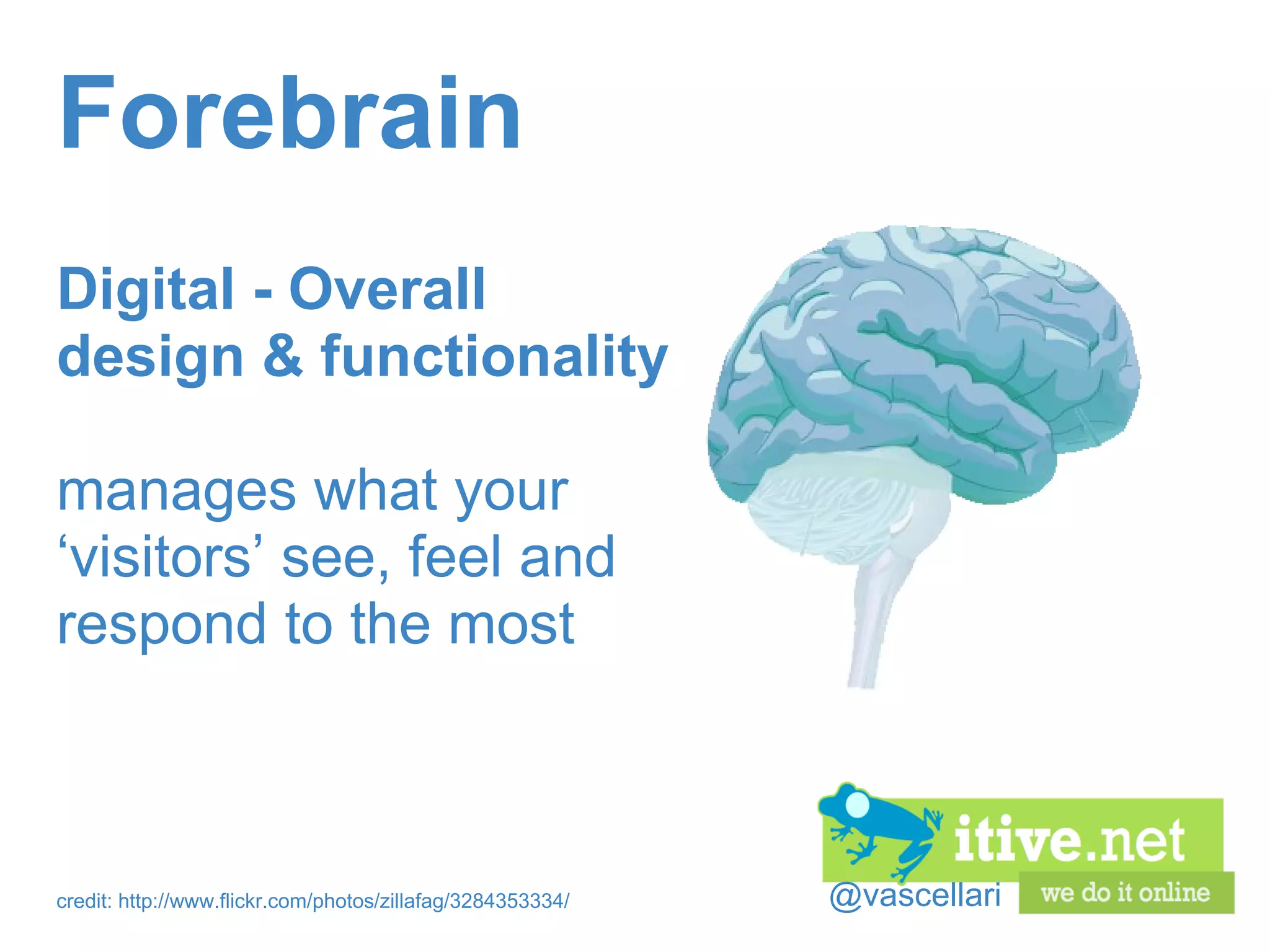 @vascellari Forebrain Digital - Overall design & functionality manages what your ‘visitors’ see, feel and respond to the most credit: http://www.flickr.com/photos/zillafag/3284353334/ 