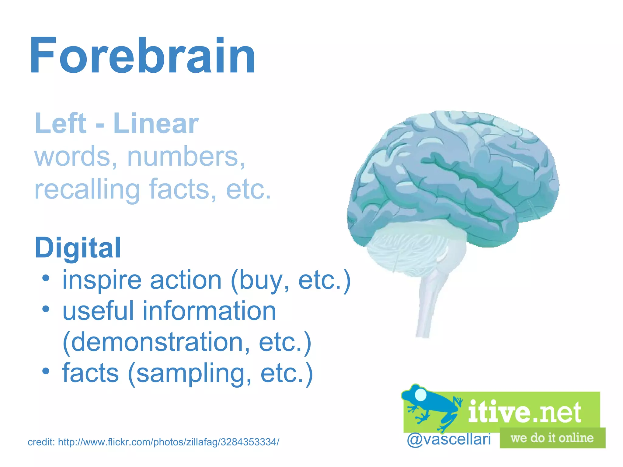@vascellari Forebrain Left - Linear  words, numbers, recalling facts, etc. credit: http://www.flickr.com/photos/zillafag/3284353334/ Digital inspire action (buy, etc.) useful information (demonstration, etc.) facts (sampling, etc.) 