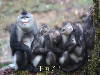 下雨了！ 