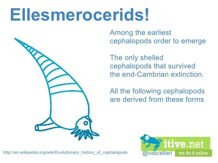 free online dating services with no credit card needed