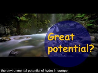 Great potential? the environmental potential of hydro in europe 
