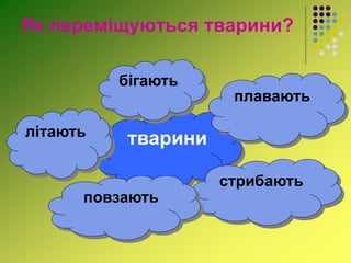 Як переміщуються тварини?
тварини
бігають
плавають
стрибають
повзають
літають
 