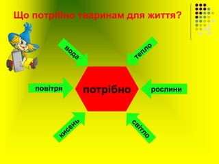 Що потрібно тваринам для життя?
потрібно рослиниповітря
 