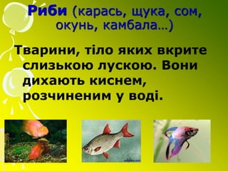 Риби (карась, щука, сом,
окунь, камбала…)
Тварини, тіло яких вкрите
слизькою лускою. Вони
дихають киснем,
розчиненим у воді.
 
