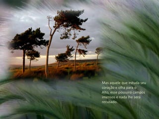 Mas aquele que estuda seu coração e olha para o Alto, esse possuirá campos imensos e nada lhe será recusado.