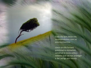 Cada dia que passa nos surpreendemos com os acontecimentos, como se não fossem previsíveis e tentamos construir à nossa volta a redoma que vai nos proteger e dar abrigo aos nossos.