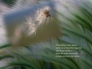 Precisamos viver agora como se o instante seguinte não fosse existir e                       fazer de cada momento                         o mais precioso de todos. 