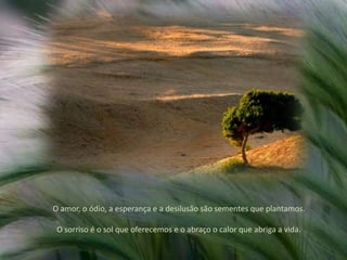 O amor, o ódio, a esperança e a desilusão são sementes que plantamos. O sorriso é o sol que oferecemos e o abraço o calor que abriga a vida.