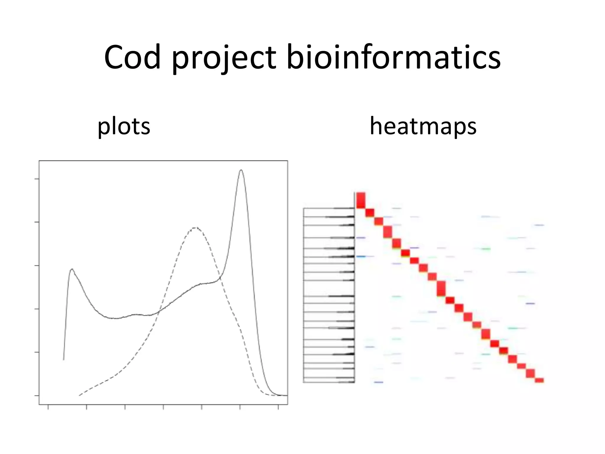 Cod project bioinformatics			plots								heatmaps