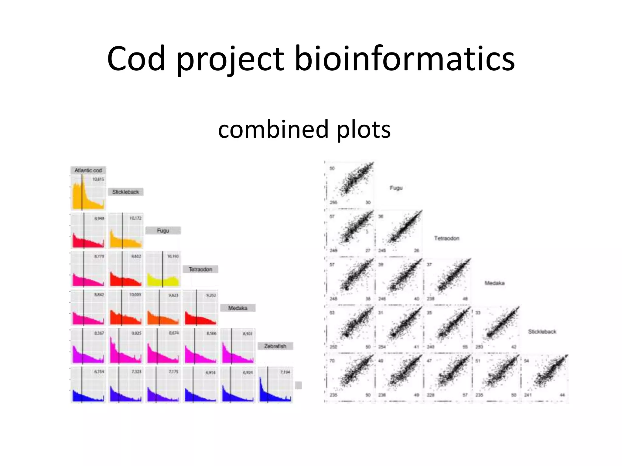 Cod project bioinformaticscombined plots	