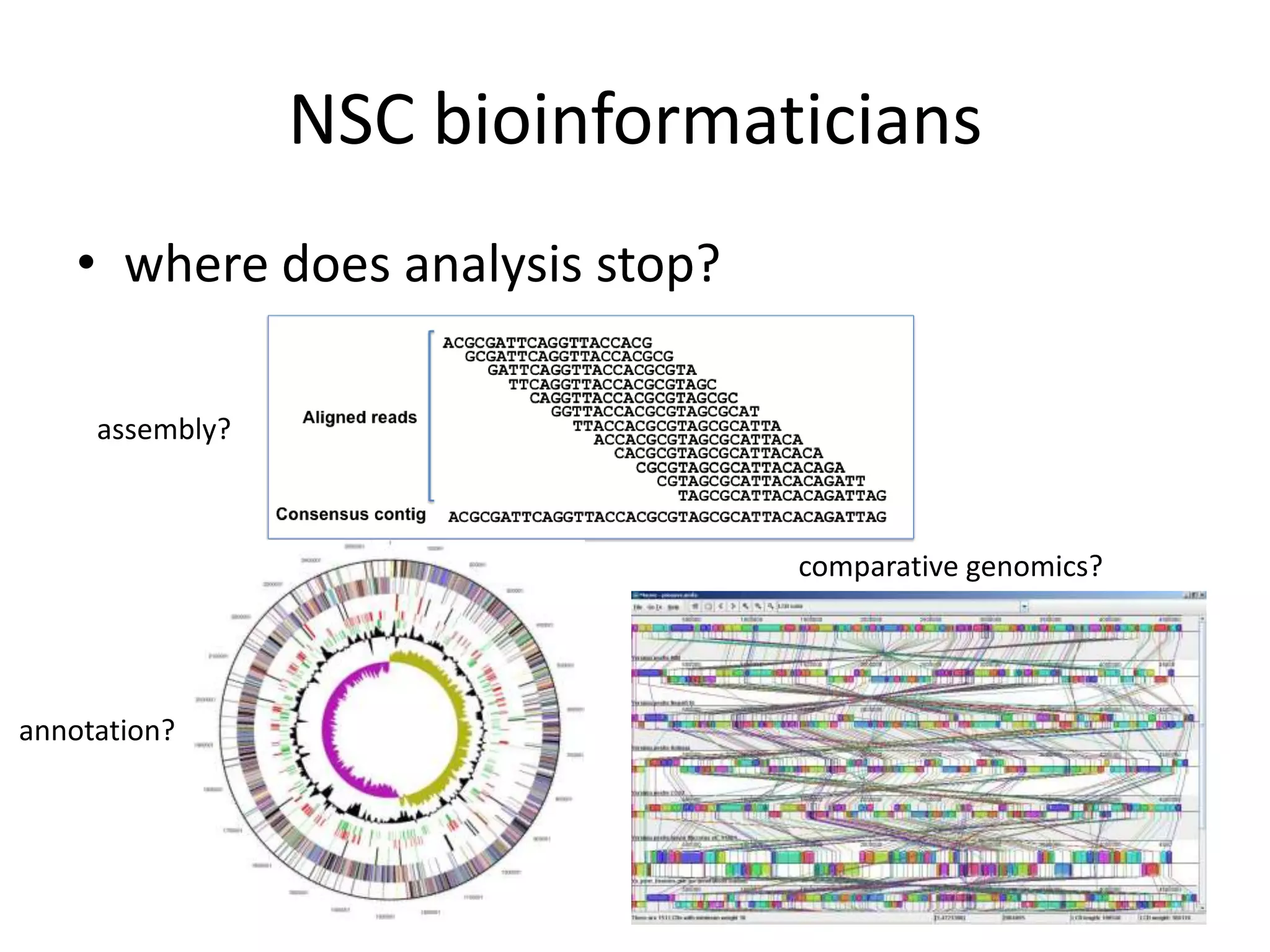NSC bioinformaticianswhere does analysis stop?assembly?comparative genomics?annotation?