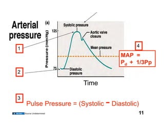 4
1
                                       MAP =
                                       Pd + 1/3Pp
2

                          Time

3
     Pulse Pressure = (Systolic   - Diastolic)
    Source Undetermined                      11
 