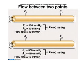 McGraw-Hill
              14
 