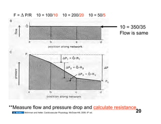 F=     P/R    10 = 100/10     10 = 200/20     10 = 50/5


                                                                  10 = 350/35
                                                                  Flow is same




**Measure flow and pressure drop and calculate resistance.
                                               th
      Mohrman and Heller. Cardiovascular Physiology. McGraw-Hill, 2006. 6 ed. 20
 