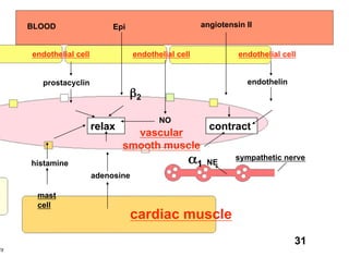 BLOOD                   Epi                       angiotensin II


     endothelial cell               endothelial cell             endothelial cell


       prostacyclin                                                endothelin
                                     2

                                           NO
                        relax                            contract
                                  vascular
                                smooth muscle
                                                                sympathetic nerve
     histamine                                         1 NE
                        adenosine

      mast
      cell
                                   cardiac muscle
                                                                                31
cy
 