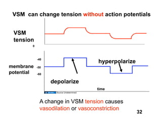VSM can change tension without action potentials


 VSM
 tension
        0



            -40
                                          hyperpolarize
membrane    -50
potential   -60

                  depolarize
                                          time
                    Source Undetermined



              A change in VSM tension causes
              vasodilation or vasoconstriction
                                                          32
 