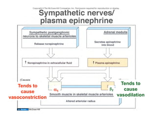 Tends to
   Tends to
                          2      cause
     cause            1
                              vasodilation
vasoconstriction

        McGraw-Hill                 36
 