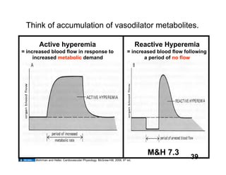 Think of accumulation of vasodilator metabolites.

       Active hyperemia                                                          Reactive Hyperemia
= increased blood ﬂow in response to                                       = increased blood ﬂow following
     increased metabolic demand                                                   a period of no ﬂow




                                                                                    M&H 7.3
     Mohrman and Heller. Cardiovascular Physiology. McGraw-Hill, 2006. 6th ed.
                                                                                                   39
 