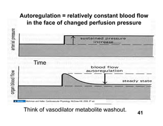 Autoregulation = relatively constant blood ﬂow
                                      8.4 HM
  in the face of changed perfusion pressure




         Time




  Mohrman and Heller. Cardiovascular Physiology. McGraw-Hill, 2006. 6th ed.



 Think of vasodilator metabolite washout.
                                                                              41
 