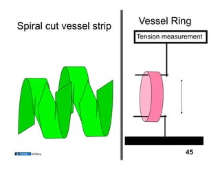 Vessel Ring
Spiral cut vessel strip
                          Tension measurement




   D’Alecy                              45
 