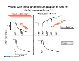 Vessel with intact endothelium relaxes to Ach !!!!!!
             Via NO release from EC




                                                 47
 Source Undetermined
 