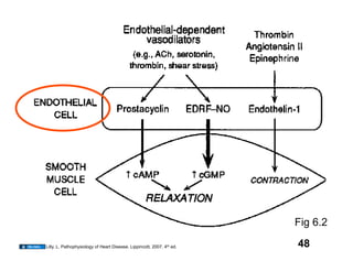 Fig 6.2

Lilly, L. Pathophysiology of Heart Disease. Lippincott, 2007. 4th ed.   48
 