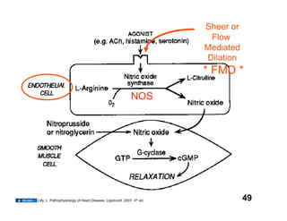 Sheer or
                                                                         Flow
                                                                        Mediated
                                                                        Dilation
                                                                        * FMD *

                                                            NOS




Lilly, L. Pathophysiology of Heart Disease. Lippincott, 2007. 4th ed.              49
 