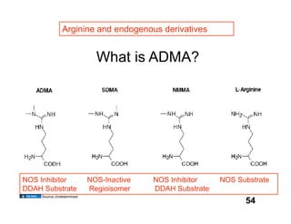 Arginine and endogenous derivatives


                             What is ADMA?




NOS Inhibitor              NOS-Inactive   NOS Inhibitor    NOS Substrate
DDAH Substrate             Regioisomer    DDAH Substrate
     Source Undetermined
                                                                 54
 