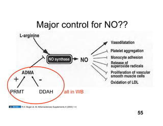 Major control for NO??




 +                     -
PRMT                   DDAH                       all in WB

     R.H. Boger et. Al, Atherosclerosis Supplements 4 (2003) 1-3


                                                                   55
 