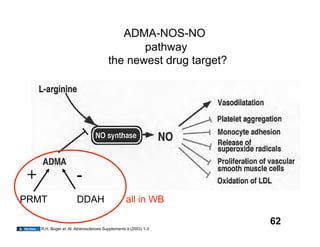 ADMA-NOS-NO
                                                pathway
                                         the newest drug target?




 +                      -
PRMT                    DDAH                       all in WB

                                                                   62
     R.H. Boger et. Al, Atherosclerosis Supplements 4 (2003) 1-3
 