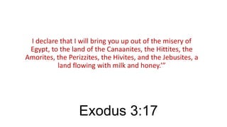 I declare that I will bring you up out of the misery of
Egypt, to the land of the Canaanites, the Hittites, the
Amorites, the Perizzites, the Hivites, and the Jebusites, a
land flowing with milk and honey.’”

Exodus 3:17

 