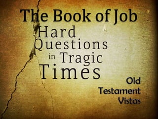 The Bookof Job Old Testament Vistas 