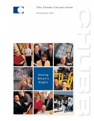 chubb Annual Report 2002