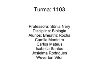 Turma: 1103


Professora: Sônia Nery
  Disciplina: Biologia
Alunos: Bheatriz Rocha
   Camila Monteiro
     Carlos Mateus
    Isabella Santos
  Josielma Rodrigues
    Weverton Vitor
 