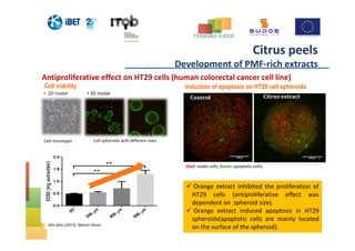 Induction of apoptosis on HT29 cell spheroids
Control Citrus extract
(Red: viable cells; Green: apoptotic cells)
Cell viability
• 2D model
Orange extract inhibited the proliferation of
HT29 cells (antiproliferative effect was
dependent on spheroid size).
Orange extract induced apoptosis in HT29
spheroids(apoptotic cells are mainly located
on the surface of the spheroid).
• 3D model
Cell monolayer Cell spheroids with different sizes
Antiproliferative effect on HT29 cells (human colorectal cancer cell line)
Inês Silva (2013), Master thesis
Citrus peels
Development of PMF-rich extracts
 